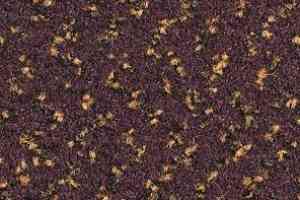 Ковролин Balsan Impression Roll 786 фото  | FLOORDEALER